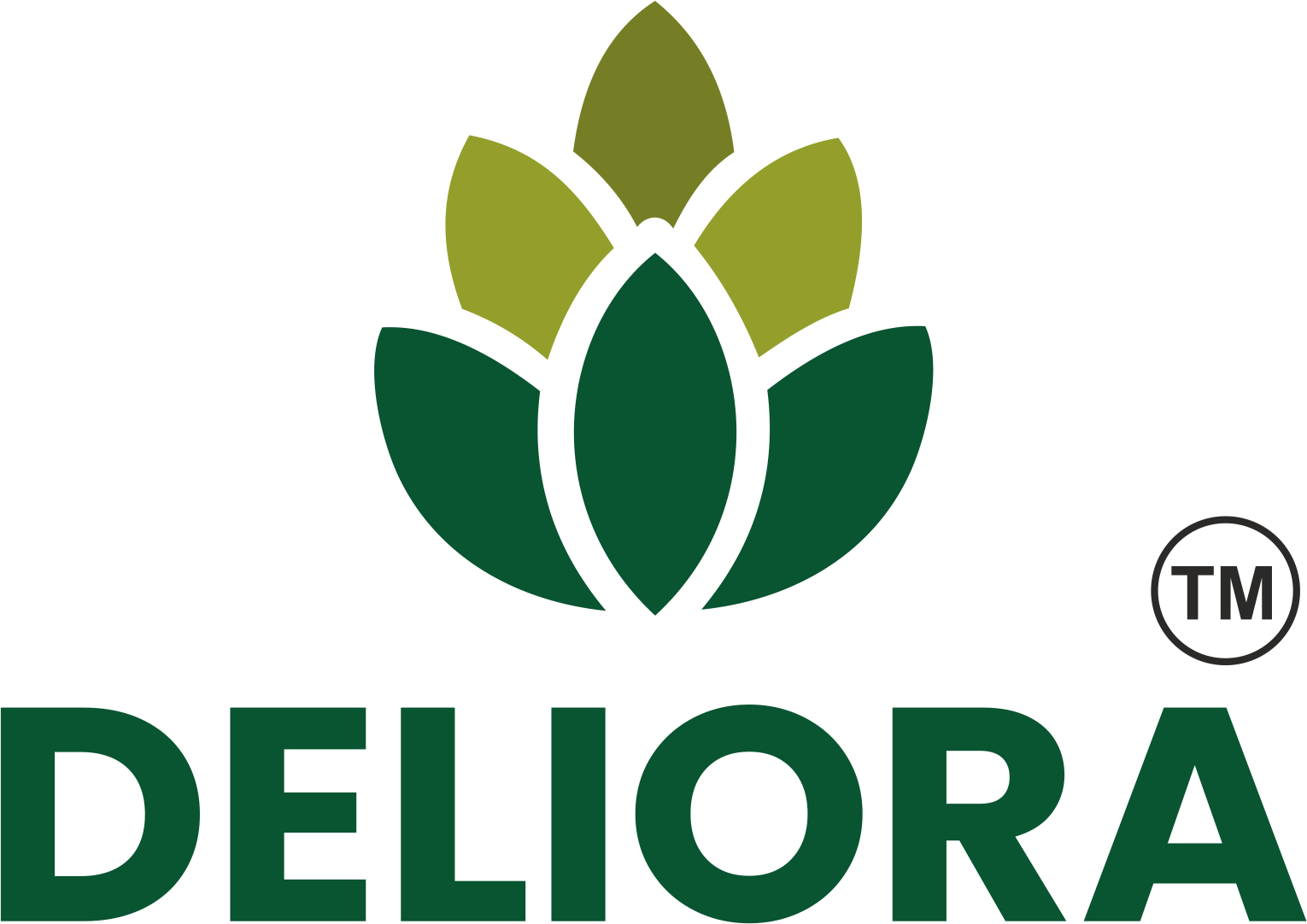 Deliora Logo Loading